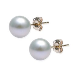 8mm Pearl Stud with Gold Fitting